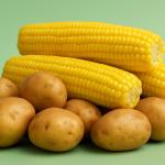 Die Kartoffel der Zukunft: weniger Acrylamid beim Frittieren und weniger Abfall – ist Gentechnik die Lösung?